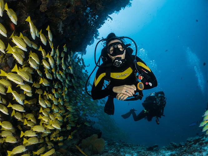 Deep South Diving